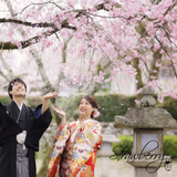 春に結婚式を挙げるなら…優しい印象の「桜」をテーマにしたウェディングがおすすめ♡