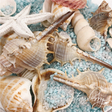 海の世界＊リトルマーメイドのアリエルをテーマに「貝殻」モチーフでウェディングアイデア♪