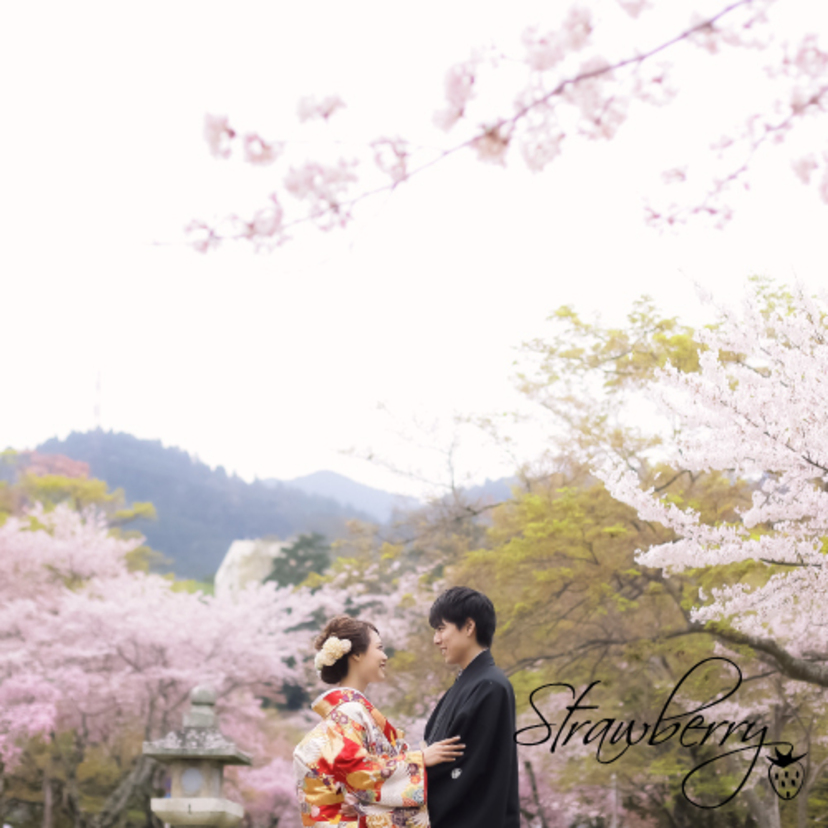 桜いっぱいの写真が美しい＊和装もドレスも楽しめる前撮り写真集＊