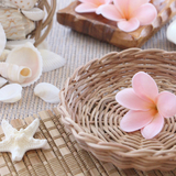 夏婚花嫁さん要チェック◎暑い季節の結婚式で用意したい「ゲストへのおもてなしアイテム」♡♡