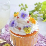 見て・食べて・ときめく＊お料理やケーキを華やかに格上げする「エディブルフラワー」の魔法＊