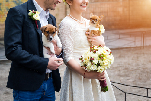 大切な愛犬と一緒に結婚式がしたい おすすめの演出アイディアと注意点をご紹介 Strawberry